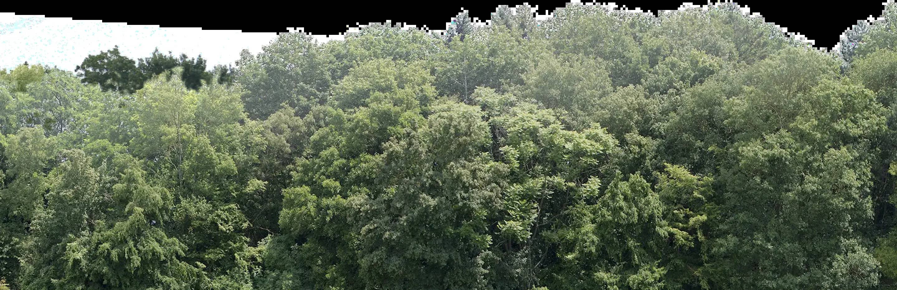 Вид из окна - 2