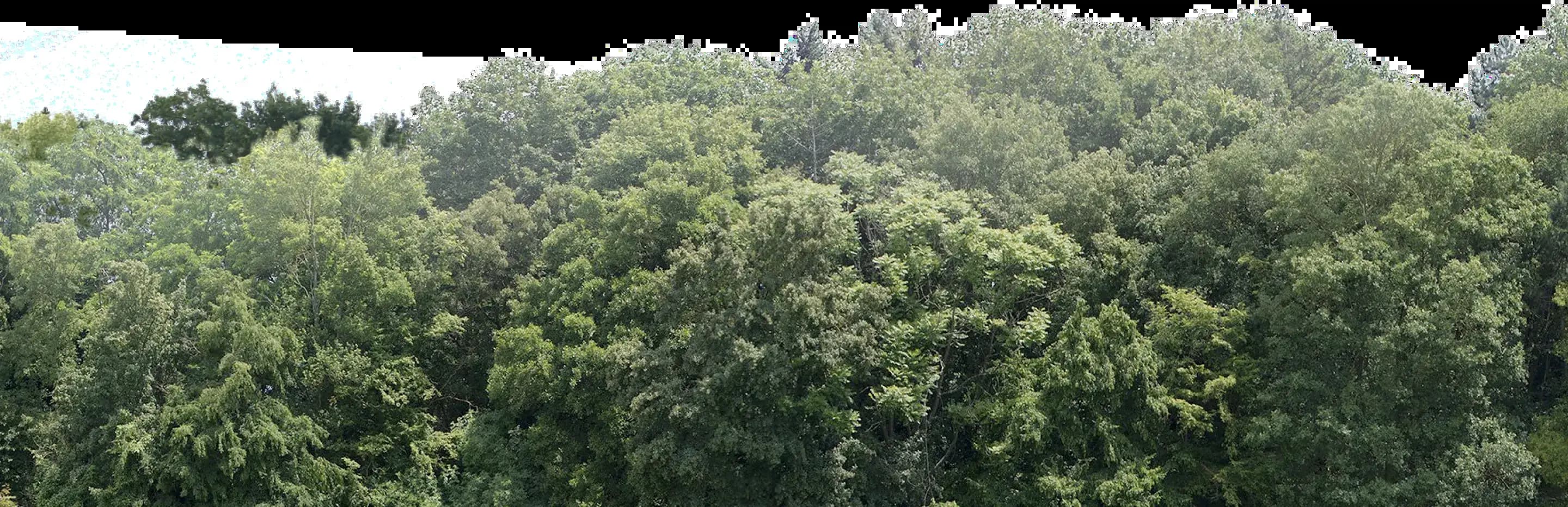 Вид из окна - 2